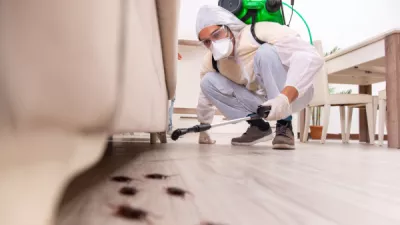 Shutterstock 1349407961