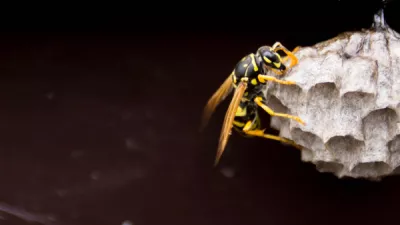 Shutterstock 1730463949 1