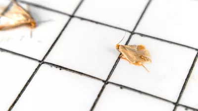 32abc0 63a899b01ef34f0093c3644f0c7b35e7 mv2