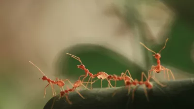 Prince patel L 1h Bb Nj4 Ug unsplash