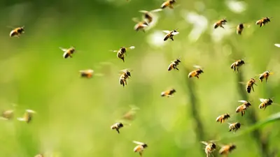 Shutterstock 1265145760