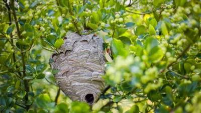 Shutterstock 1488386792